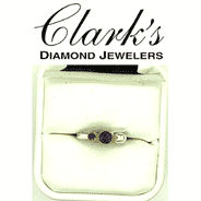 Clarks Diamond Jewelers - Sterling Silver w 22kg Vermeil Ring Amethyst, Rhod. Garnet